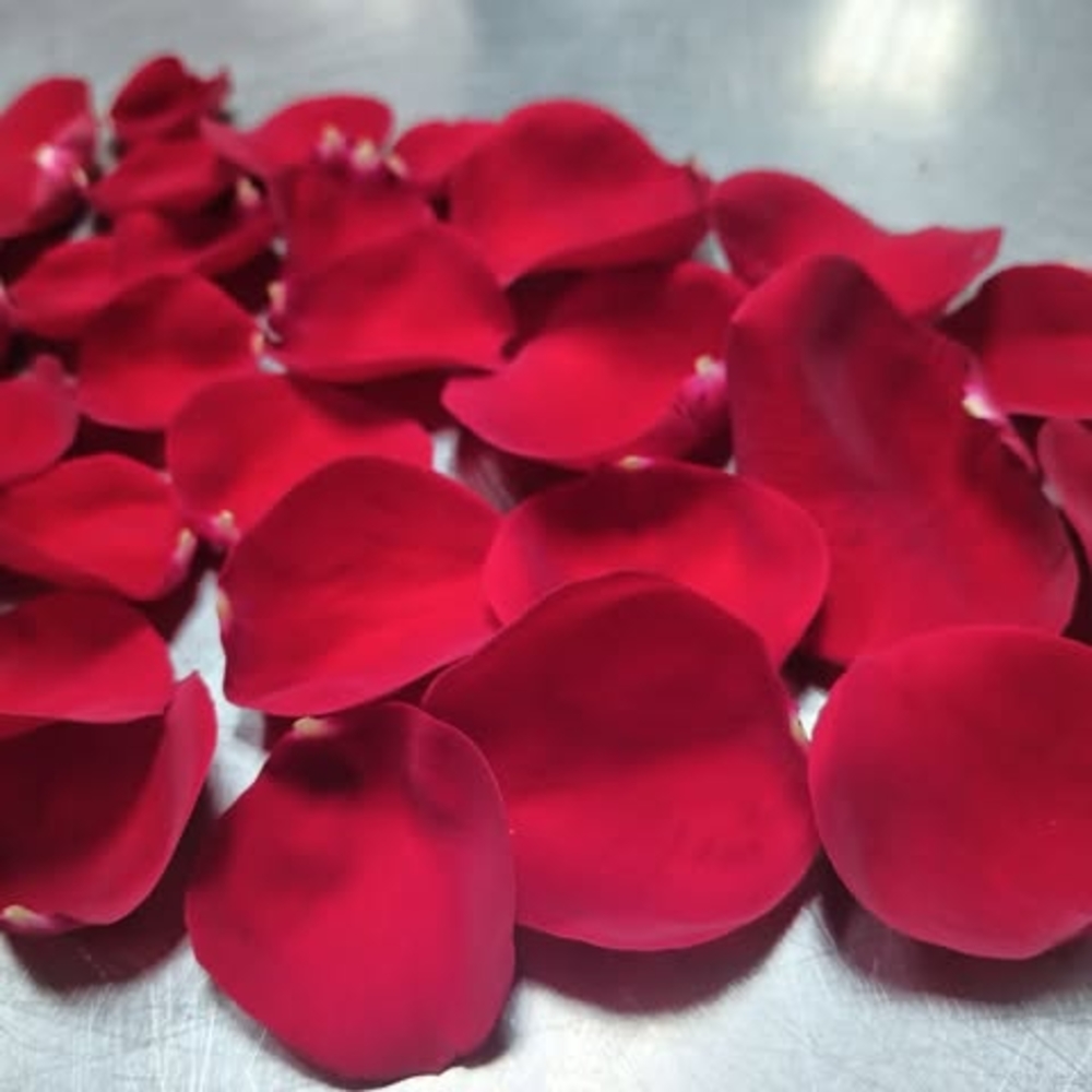 Meet your Posher, Yolanda